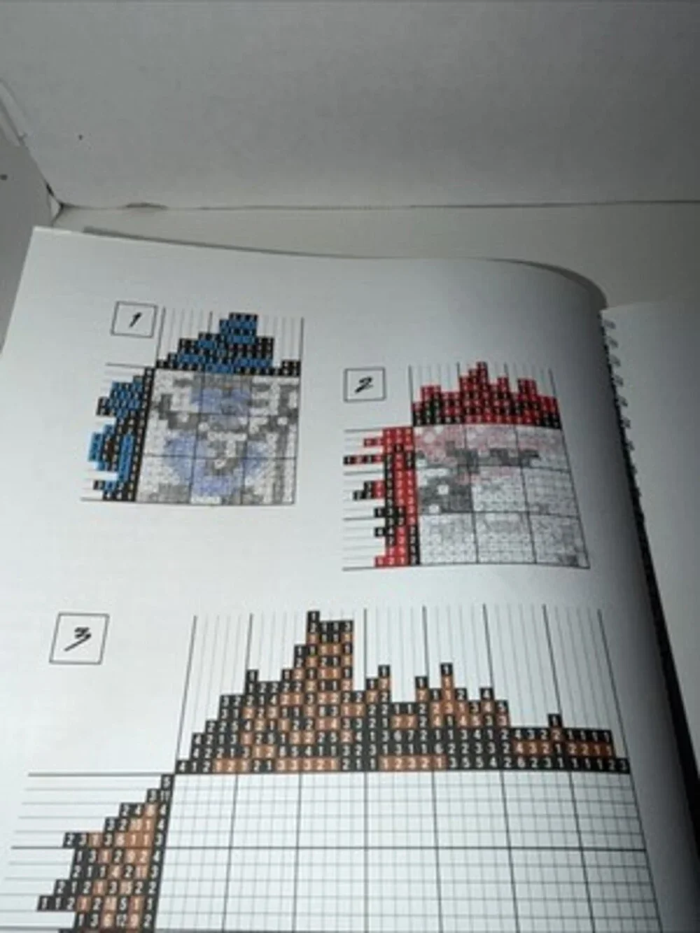 Rare TWO-COLOR PAINT-DOKU By Conceptis Puzzles (the First 2 Puzzles Are Done)